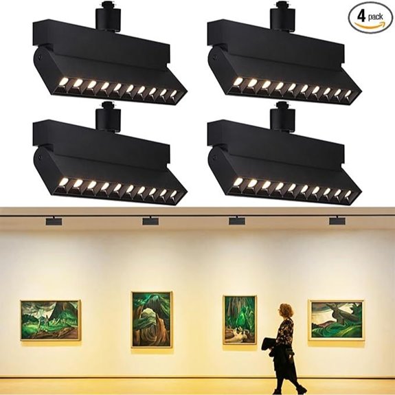 LEONLITE 24W Dimmable LED Track Heads (4-Pack)