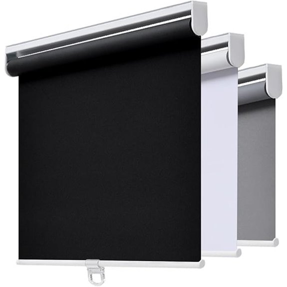 AOSKY Blackout Roller Shades for Windows 23x72