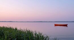 color combinations evoke emotions