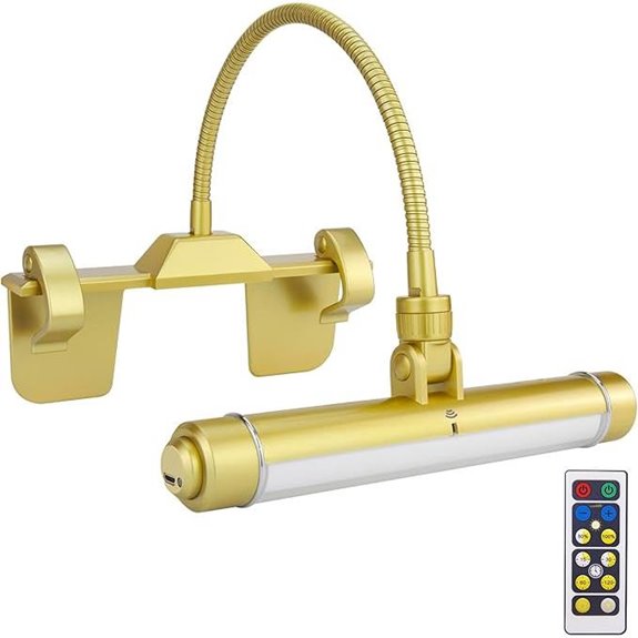 HONWELL Cordless Art Light with Remote and Adjustable Neck