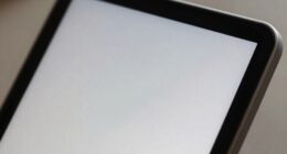 digital watermarks limitations