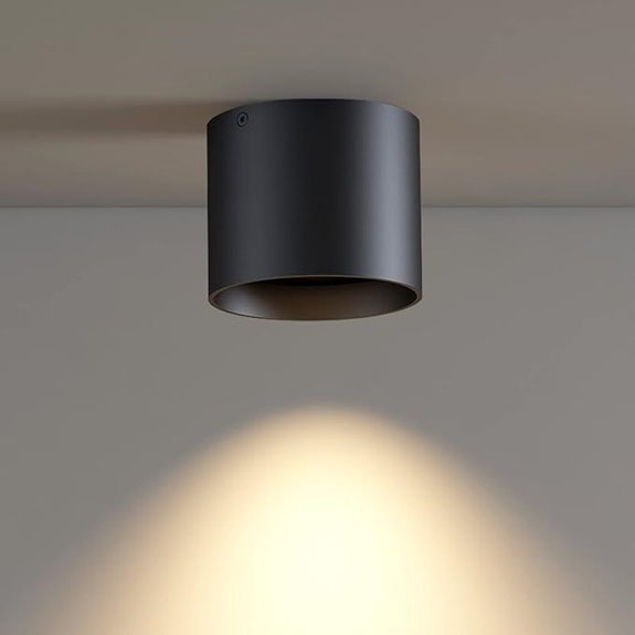 Flush Mount LED Ceiling Light - Dimmable Black Cylinder
