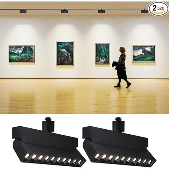 LEONLITE 24W Dimmable LED Track Heads (2-Pack)