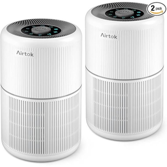 dual hepa air purifiers