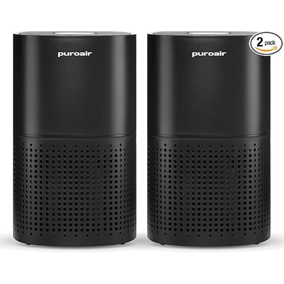 dual large room purifiers