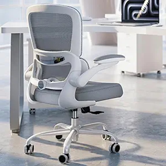 TRALT Ergonomic Office Chair with Lumbar Support