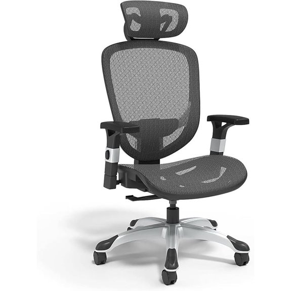 Hyken Ergonomic Swivel Office Chair with Lumbar