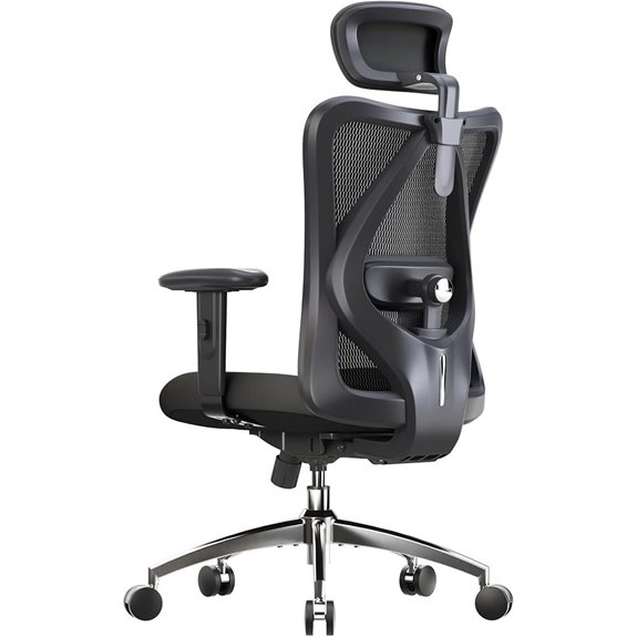 SIHOO M18 Ergonomic Office Chair with Lumbar
