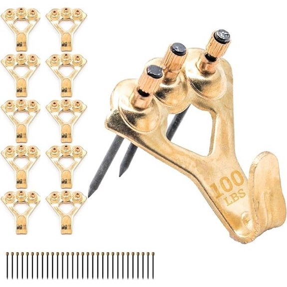 Heavy Duty 100lb Picture Hangers (10 Pack)