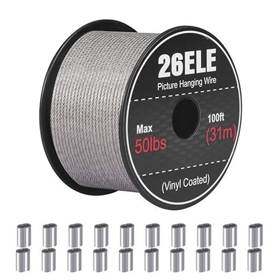 Heavy Duty Stainless Steel Picture Hanging Wire (100ft)
