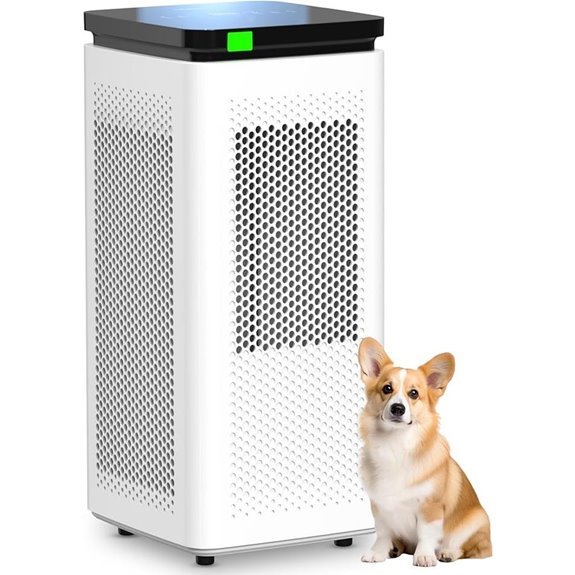Large Room Air Purifier with True HEPA and Carbon