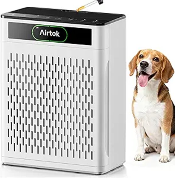 Airtok Large Room Air Purifier with Monitor