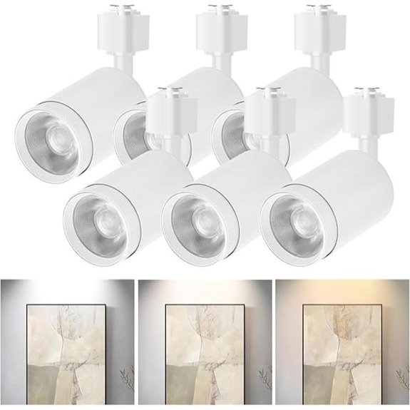6-Pack LED Track Lighting Heads with Adjustable Spotlight