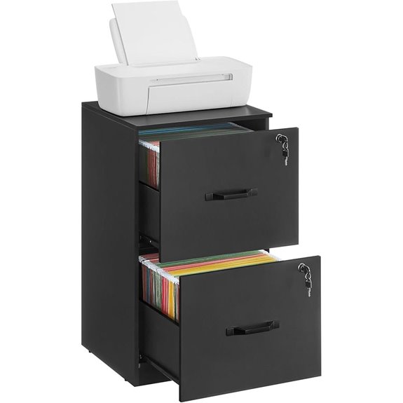 VASAGLE 2-Drawer Locking File Cabinet Organizer