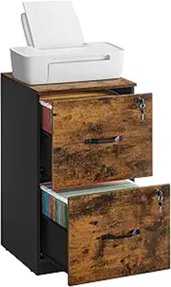 VASAGLE 2-Drawer Locking File Cabinet Organizer