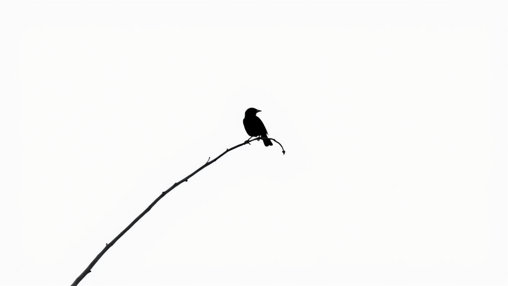 master negative space effectively