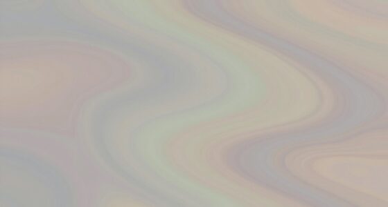 minimalist visual ambiguity