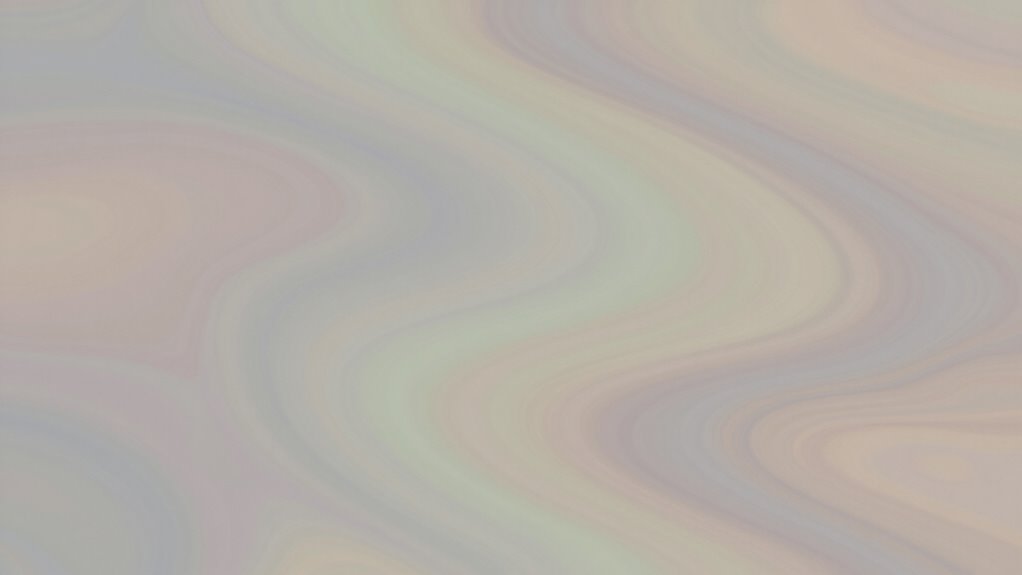 minimalist visual ambiguity