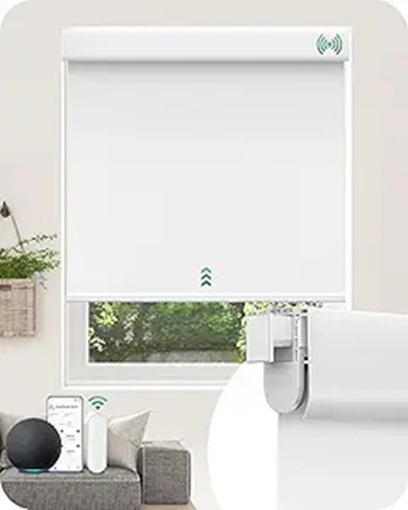 Allesin Motorized Blackout Roller Blinds with Remote