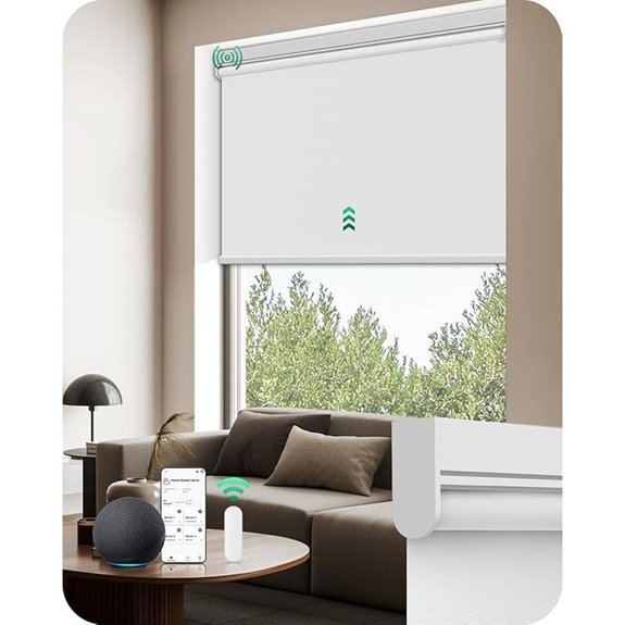 Allesin Motorized Smart Roller Blinds with Remote