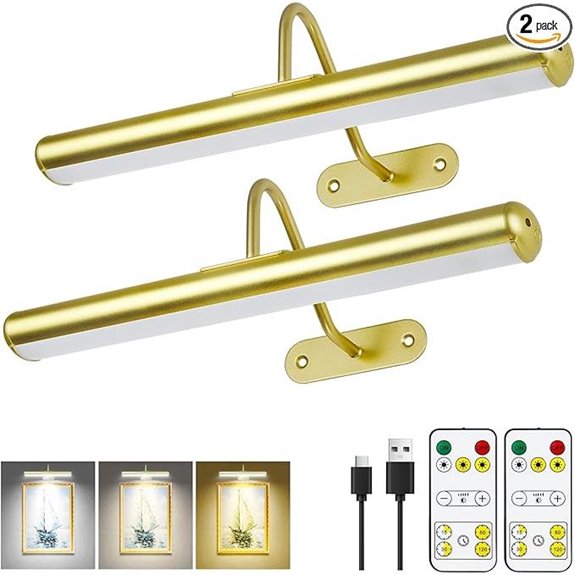 2-Pack Rechargeable Picture Lights with Dimmable LED