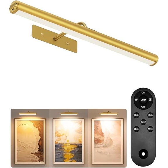 EZVALO Rechargeable Picture Light with Remote