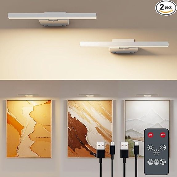 2 Pack Rechargeable Wall Picture Lights with Remote