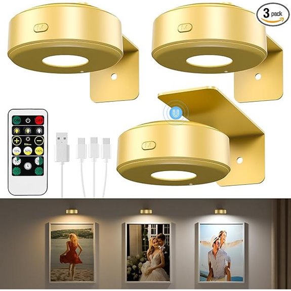 3PCS Rechargeable Picture Wall Lights with Dimming
