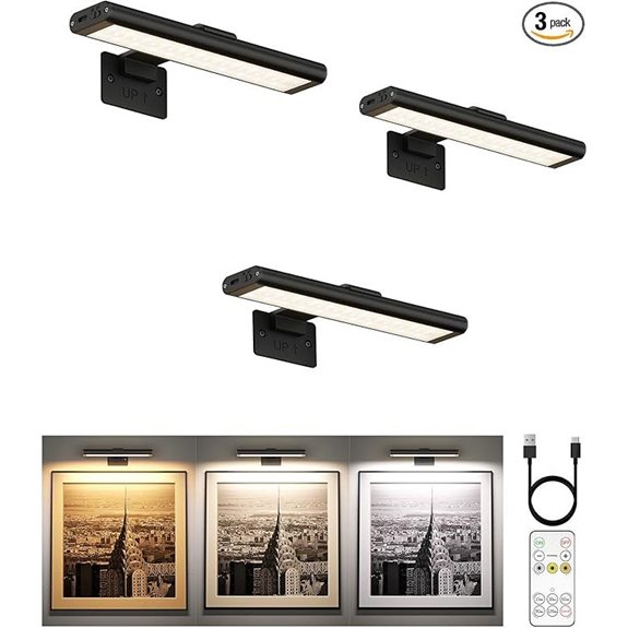 EZVALO Rechargeable Wall Picture Light with Remote