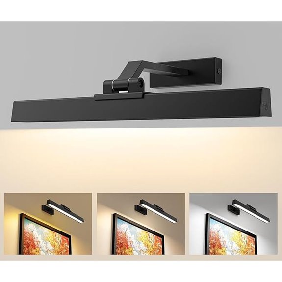 Picture Lights Wall Light with Remote & Timer