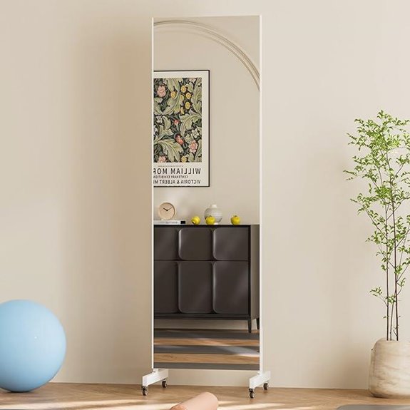 Brisafe 63x20 Shatterproof Mobile Floor Mirror