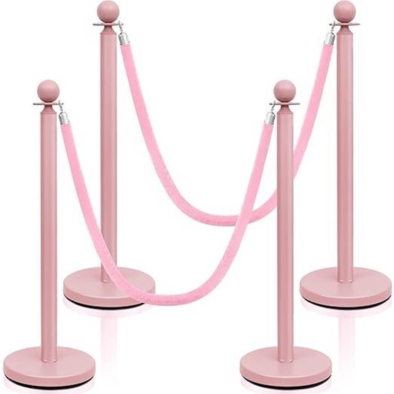 Ferraycle 4 Pcs Stainless Steel Queue Barriers Set