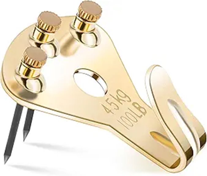 Heavy Duty Picture Hangers with Nails (10 Pack)