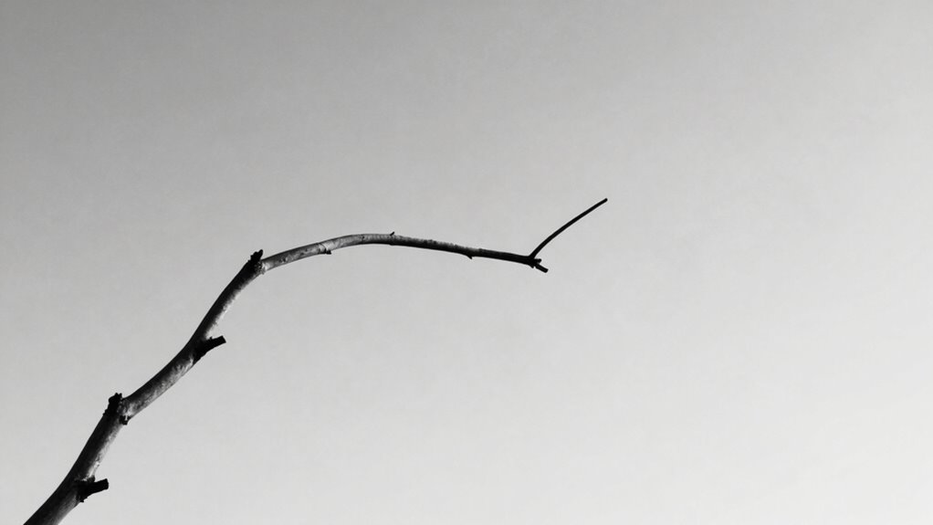 the power of negative space