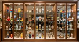 top collectible display cabinets