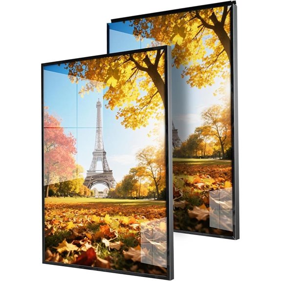 24x36 Black Poster Frame Set (2)