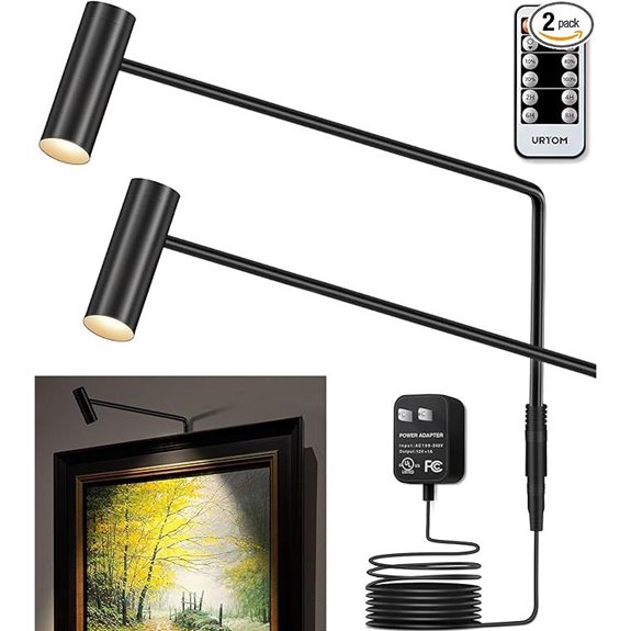 LED Picture Light 2 Pack with Remote Dimmable