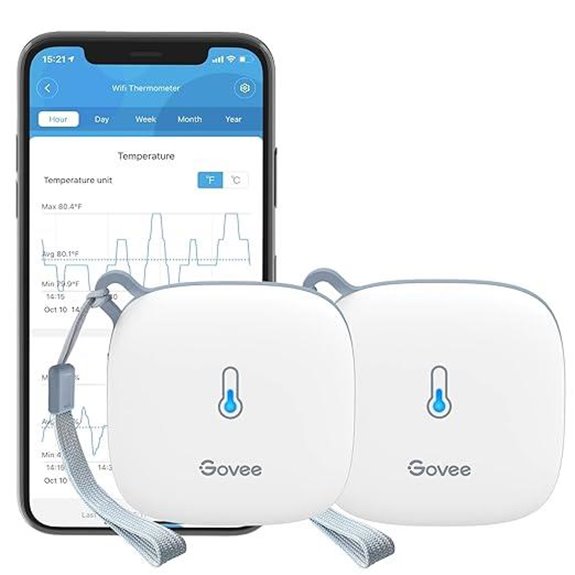 Govee WiFi Temperature Sensor 2-Pack with App Alerts