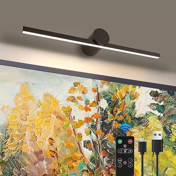ZitoStory Wireless Dimmable Art Picture Light with Remote