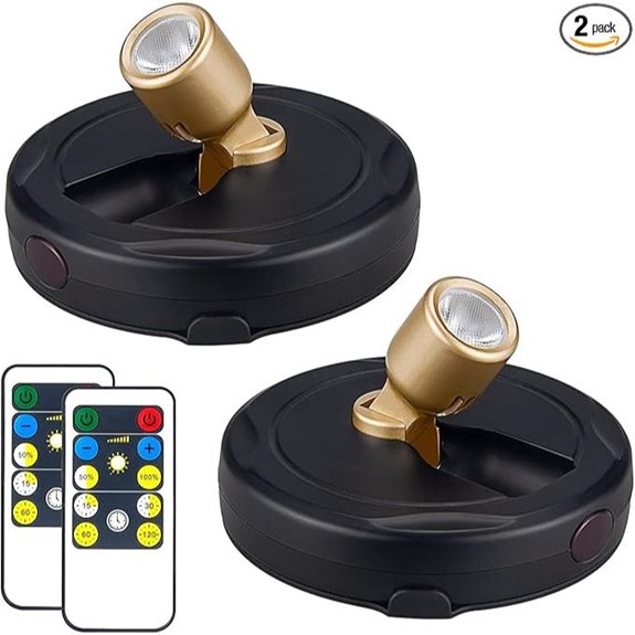 Wireless LED Spotlight with Remote for Wall Art