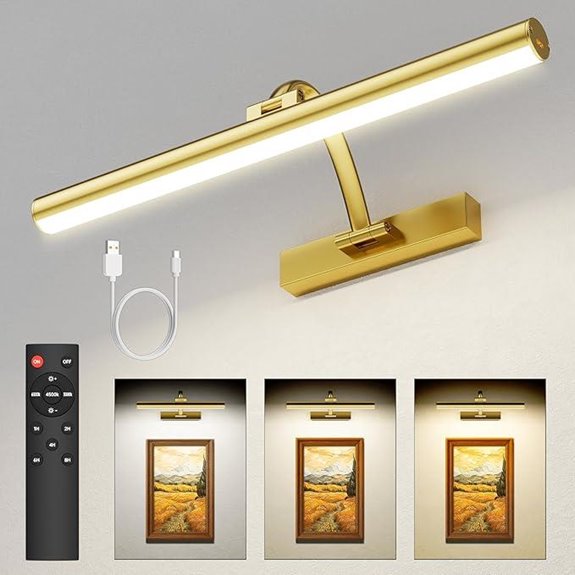 Rechargeable Picture Wall Light with Remote and Timer