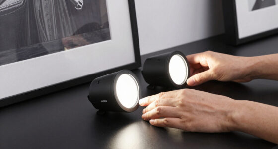 11 Best Low Glare Lights for Framed Art in 2026