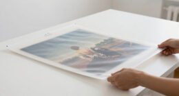 7 Best Archival Sleeves for Large Art Prints in 2026