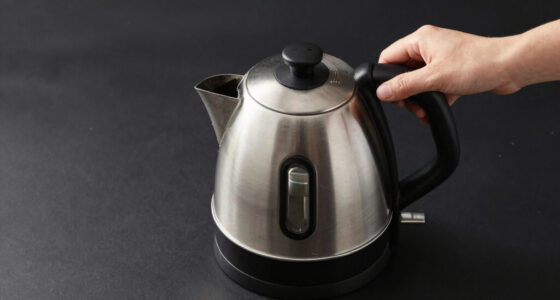 8 Best Electric Kettle for Gallery Office in 2026