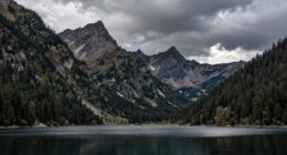 identifying composition without explanation