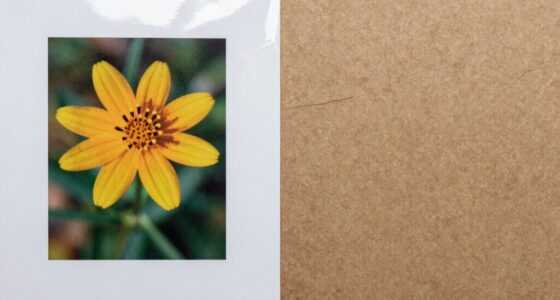 impact of paper selection