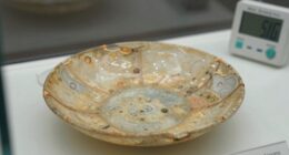 monitoring conditions for preservation