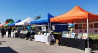 outdoor market setup essentials