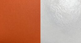 pigment vs dye printing