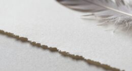 print borders versus deckled edges